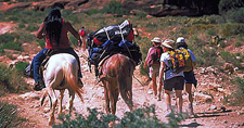 USA-Arizona-Grand Canyon & Havasu Falls Classic Hiker
